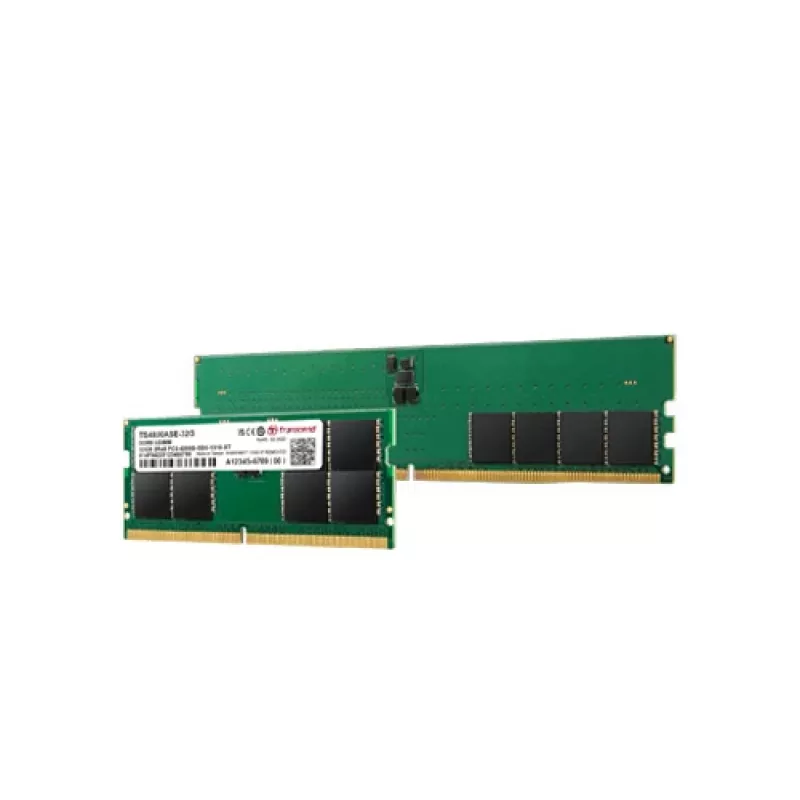 TS5600ASE-32G - 32 GB - 2 x 16 GB - DDR5 - 5600 MHz - SO-DIMM 262 pinos
