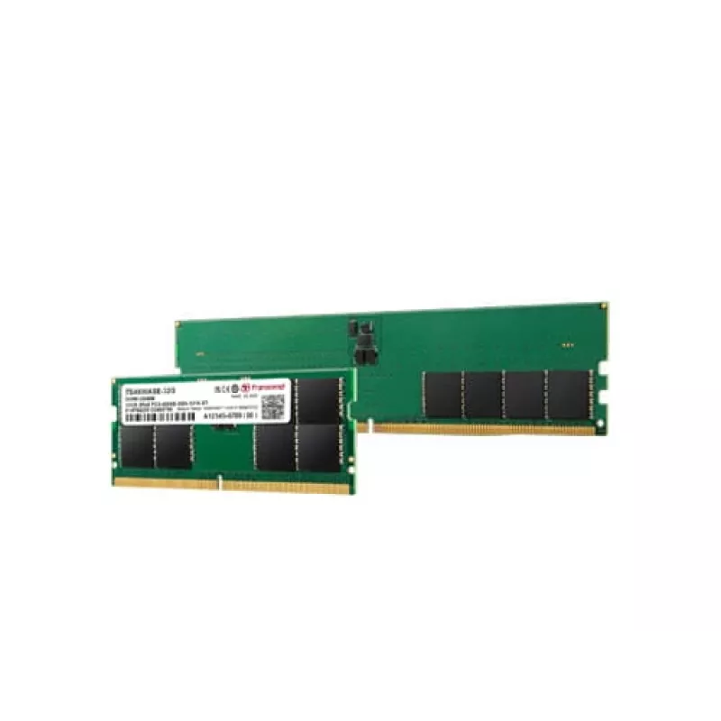 TS5600ASE-32G - 32 GB - 2 x 16 GB - DDR5 - 5600 MHz - SO-DIMM 262 pinos