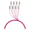 Cabo trunk EFB U-DQ(ZN)BH OM4 8G (1x8) LC-LC 180m Dca LSZH