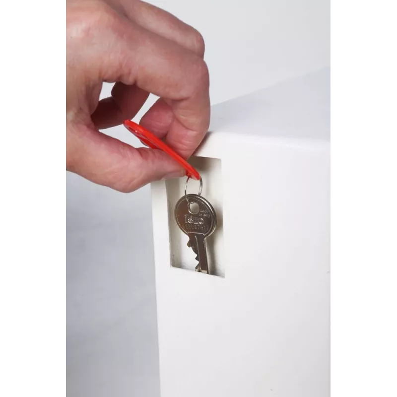 Phoenix Safe porta-chaves KS0032E MKII