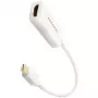 AXAGON RVDM-HI14NW – 0,15 m – Mini DisplayPort – HDMI – macho – fêmea – reto