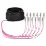 EFB cabo trunk U-DQ(ZN)BH OM4 12G (1x12) LC-LC 10m Dca LSZH