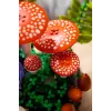 LEGO Botanicals 11505 Cogumelos da Floresta (806 peças)