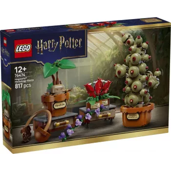LEGO Harry Potter 76474 Plantas de Herbologia de Hogwarts (817 peças)