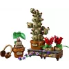LEGO Harry Potter 76474 Plantas de Herbologia de Hogwarts (817 peças)