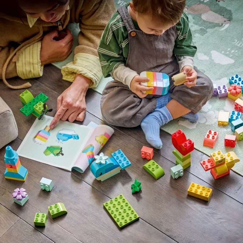 LEGO DUPLO 10479 Caixa Criativa Colorida (80 peças)