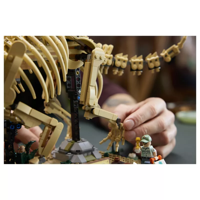LEGO Jurassic World Dinosaur Fossils: Triceratops 77985 (1154 peças)