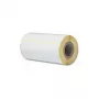 Rolo de Etiquetas Térmicas Diretas Brother Branco 102x152mm 350 Etiquetas/Rolo (LDE2L152102103G)