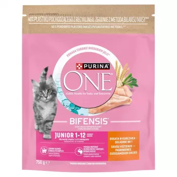 Purina ONE Junior Chicken & Whole Grains Ração Seca para Cães 750g