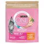 Purina ONE Junior Chicken & Whole Grains Ração Seca para Cães 750g
