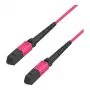 EFB-Elektronik Cabo de patch multimodo MTP fêmea para MTP fêmea 12 fibras OM4, LSZH, violeta erika, tipo B, 3m