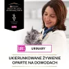 PURINA Pro Plan Veterinary Diets Feline UR St/Ox Urinary alimento seco para gatos com frango 1,5 kg