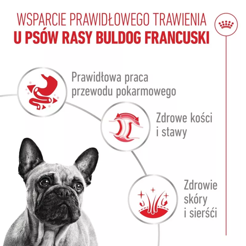 ROYAL CANIN French Bulldog Adult Digestive Health Loaf caixa - alimento húmido para cães - 12x85g