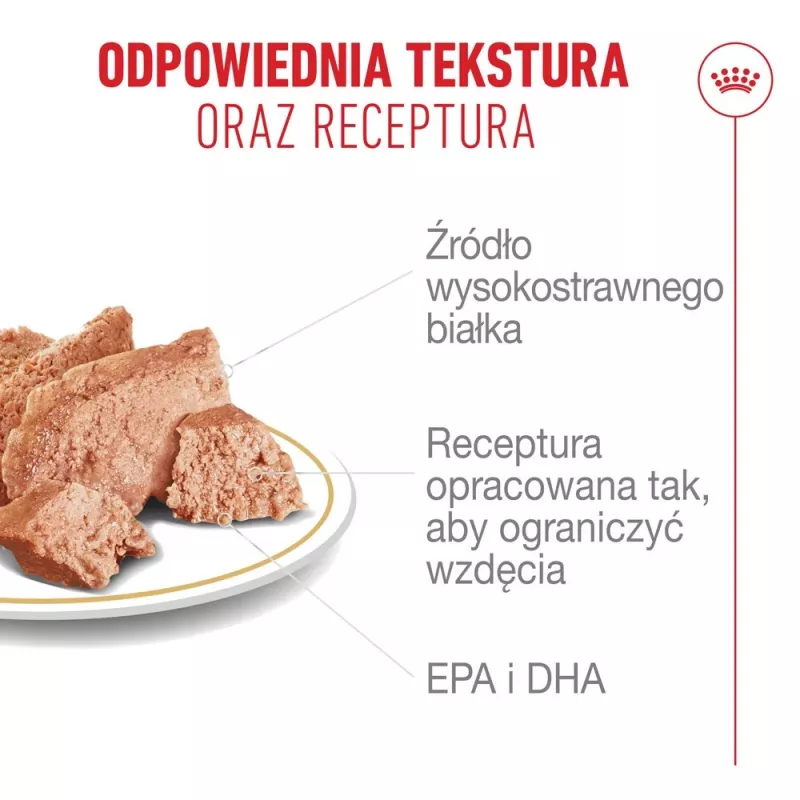 ROYAL CANIN French Bulldog Adult Digestive Health Loaf caixa - alimento húmido para cães - 12x85g