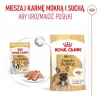 ROYAL CANIN French Bulldog Adult Digestive Health Loaf caixa - alimento húmido para cães - 12x85g