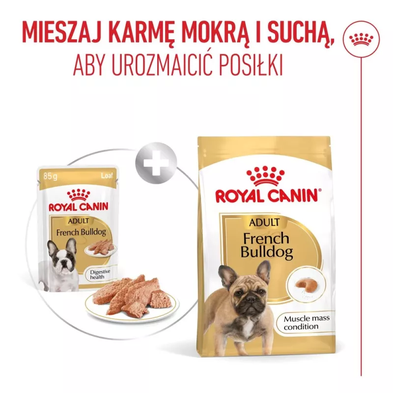 ROYAL CANIN French Bulldog Adult Digestive Health Loaf caixa - alimento húmido para cães - 12x85g