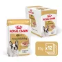 ROYAL CANIN French Bulldog Adult Digestive Health Loaf caixa - alimento húmido para cães - 12x85g
