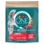 Purina ONE Sterilcat alimento seco para gatos vaca & trigo 750g