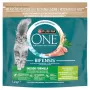 Purina ONE Indoor Formula gato peru 1,4 kg