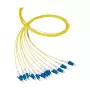 EFB Elektronik Pigtail de Fibra LC-APC 8° 9/125 OS2 Monomodo Amarelo 2 m