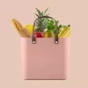 Rotho Multibag Albula Style 25L caixa de arrumação, Meadow Rose