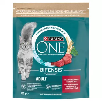 Purina ONE Adult comida seca para gato com vaca e cereais integrais 750g