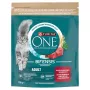 Purina ONE Adult comida seca para gato com vaca e cereais integrais 750g