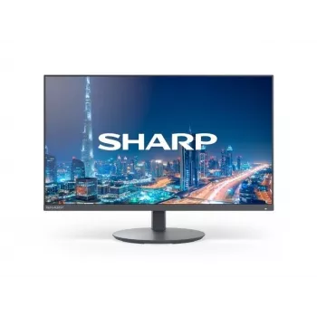 Sharp MultiSync DD-E224F monitor empresarial 21,5