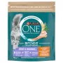Purina ONE Coat & Hairball frango cereais integrais ração seca para gatos 750g