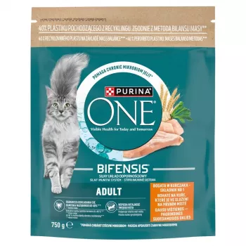 Purina One Mini Active Comida para cão frango e arroz 750g