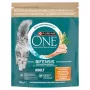 Purina One Mini Active Comida para cão frango e arroz 750g