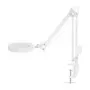 NEDIS MAGLE2WT Lupa de mesa com luz LED, ampliação 2x/4x, branco