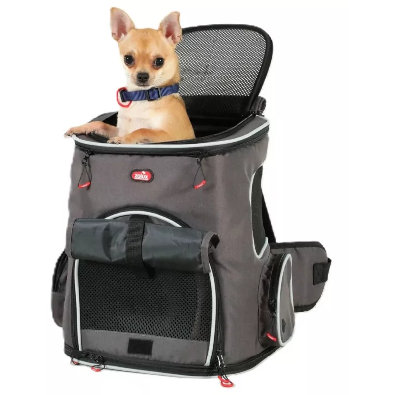 ZOLUX Nomad Mochila transportadora para cães e gatos com compartimento para portátil - 33x29x40 cm, cinzento antracite