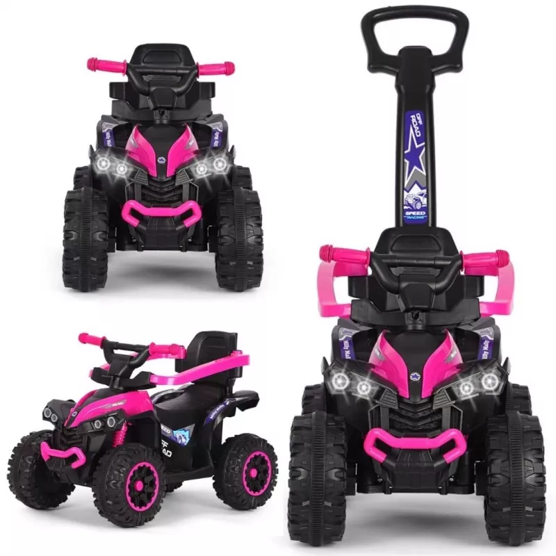 MILLY MALLY Bicicleta infantil com barra de empurrar Wild Pink 12