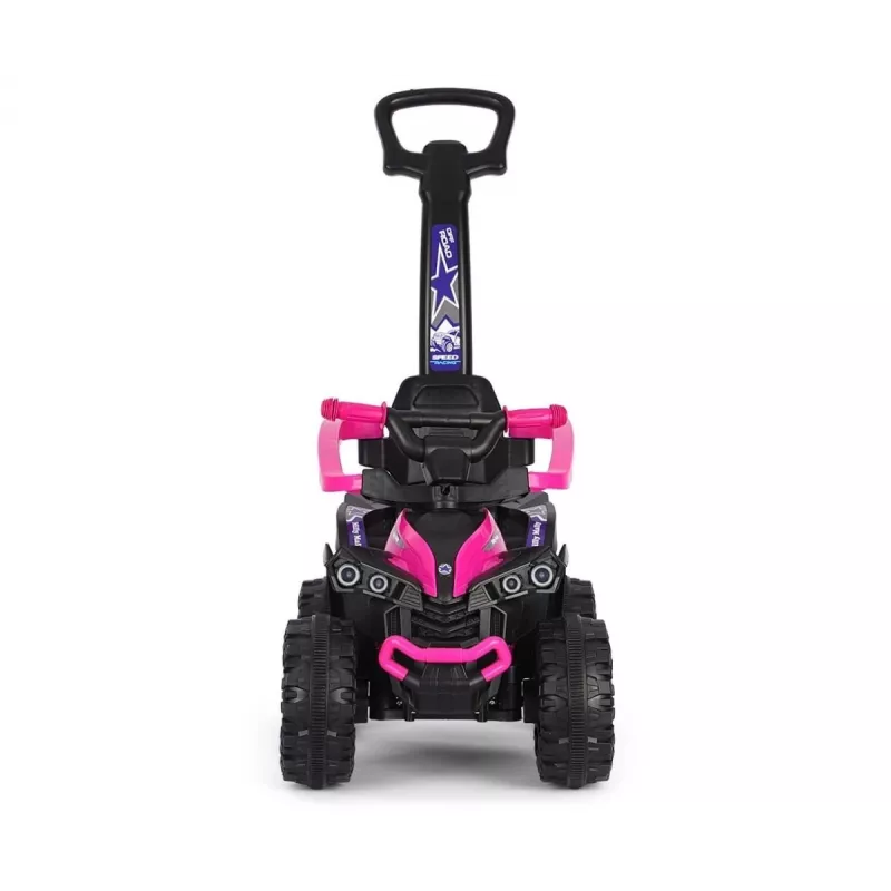 MILLY MALLY Bicicleta infantil com barra de empurrar Wild Pink 12
