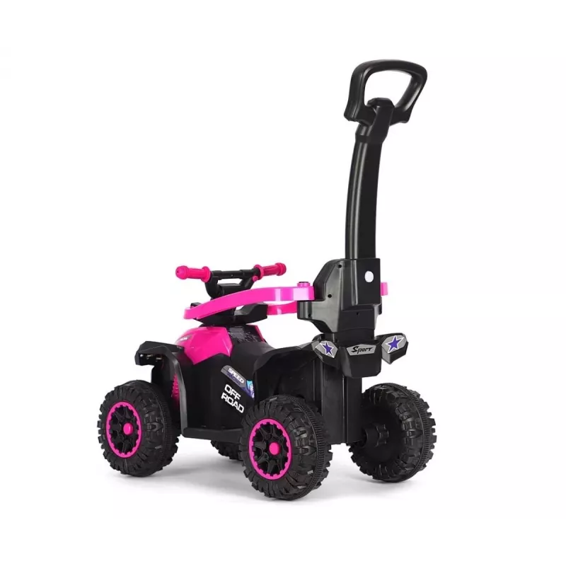 MILLY MALLY Bicicleta infantil com barra de empurrar Wild Pink 12