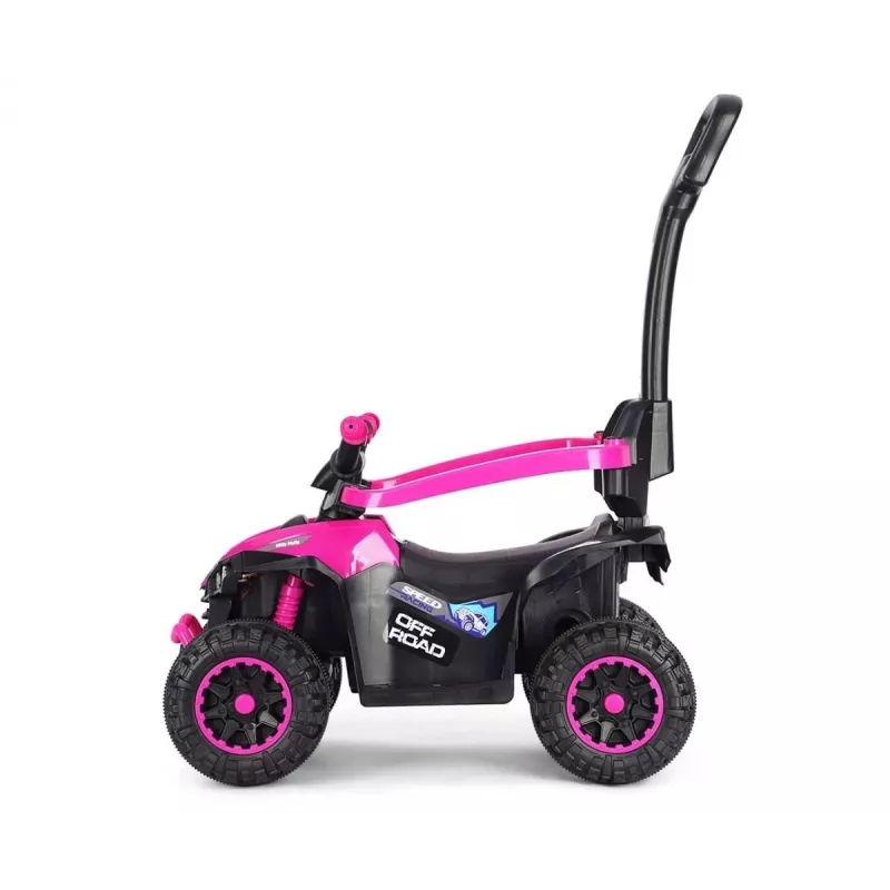 MILLY MALLY Bicicleta infantil com barra de empurrar Wild Pink 12