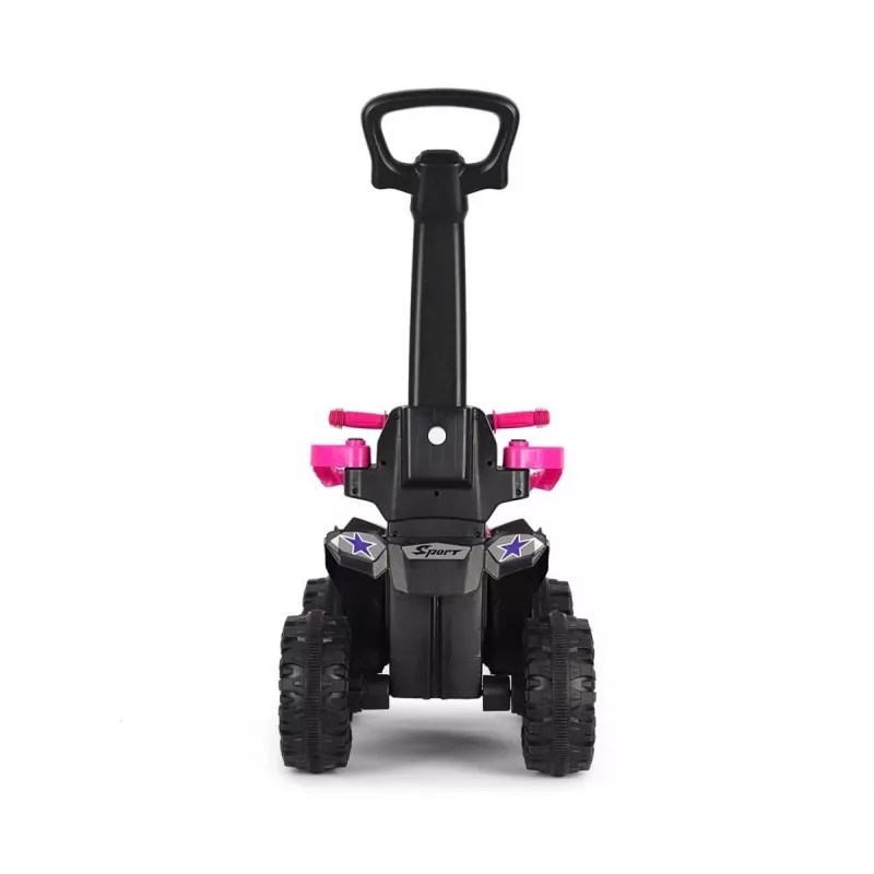 MILLY MALLY Bicicleta infantil com barra de empurrar Wild Pink 12