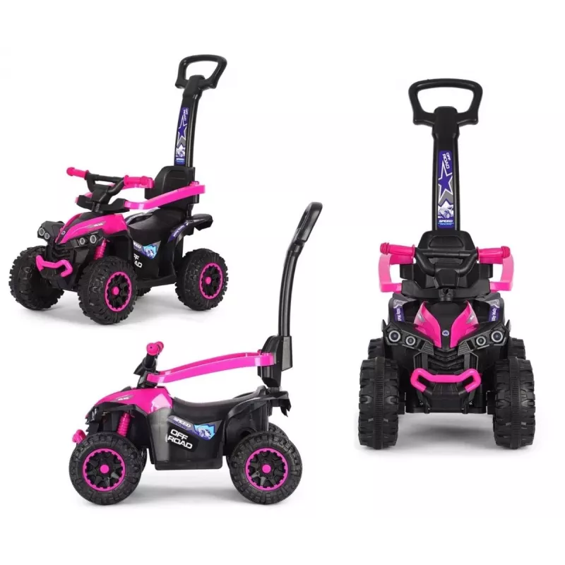 MILLY MALLY Bicicleta infantil com barra de empurrar Wild Pink 12