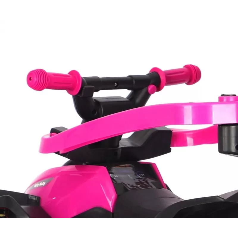 MILLY MALLY Bicicleta infantil com barra de empurrar Wild Pink 12