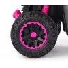 MILLY MALLY Bicicleta infantil com barra de empurrar Wild Pink 12