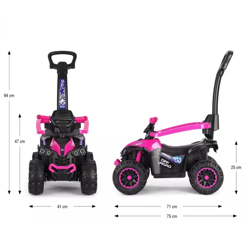 MILLY MALLY Bicicleta infantil com barra de empurrar Wild Pink 12