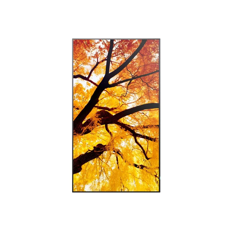 Sharp MultiSync M652 65 polegadas 4K UHD Ecrã profissional 550 cd/m² 24/7
