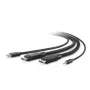 Cabo combo KVM seguro Belkin - cabo de teclado/vídeo/rato/áudio - conforme TAA - USB, ficha mini, DisplayPort (macho) - 3 m