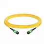 Cabo de patch monomodo OS2 EFB-ELEKTRONIK MTP/APC fêmea para MTP/APC fêmea, 12 fibras, Type B, LSZH, amarelo, 30m