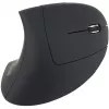Equip 245110 Rato sem fios ergonómico vertical - destro - 2,4 GHz - recetor USB - Preto
