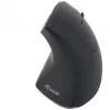 Equip 245110 Rato sem fios ergonómico vertical - destro - 2,4 GHz - recetor USB - Preto