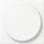 JUNG LS WC MAG WWM tampa para carregamento sem fios, termoplástico lacado, branco alpino, série LS