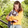 TOOTINY cavalinho de peluche com cabo A3 HOPPIHORSE, cinzento