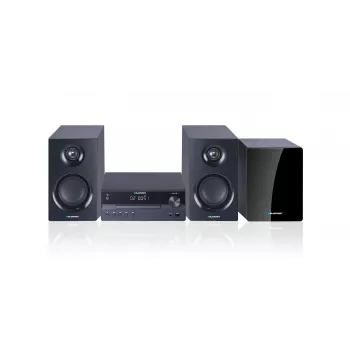 Blaupunkt MS55SUB micro-recetor